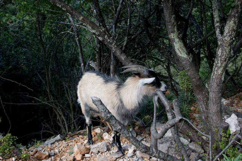 coin rencontre ardeche