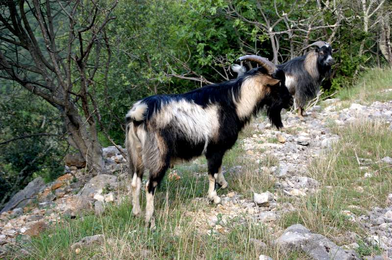 rencontre chantal ardeche